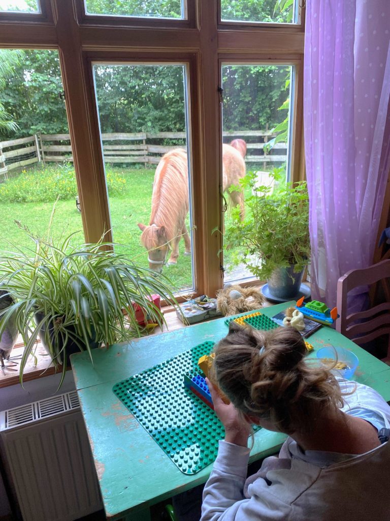 Angebot Sonnenkinder Guldeholz Jugendliche spielend vor Fenster Pferde auf Wiese davor